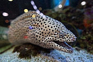 小岛秀夫亮相戛纳电影节 《死亡搁浅2》新画面曝光