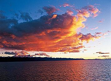 剧情向烹饪模拟游戏《特级厨师》发售 上市预告片赏